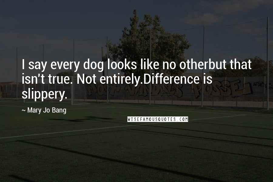 Mary Jo Bang Quotes: I say every dog looks like no otherbut that isn't true. Not entirely.Difference is slippery.