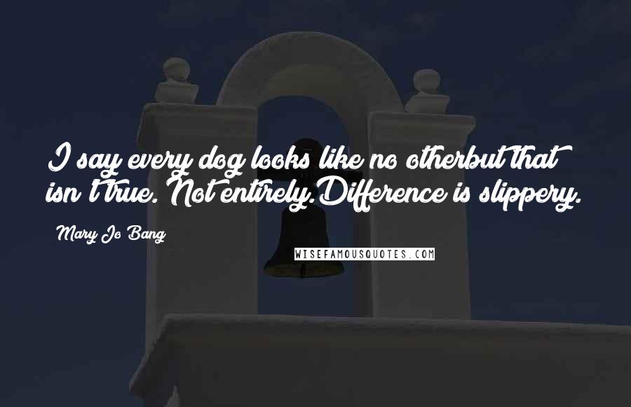 Mary Jo Bang Quotes: I say every dog looks like no otherbut that isn't true. Not entirely.Difference is slippery.