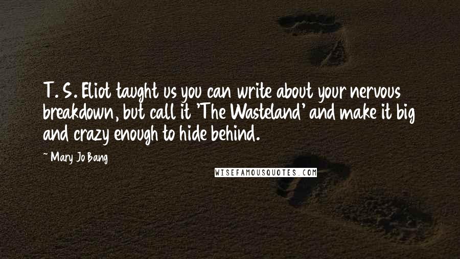 Mary Jo Bang Quotes: T. S. Eliot taught us you can write about your nervous breakdown, but call it 'The Wasteland' and make it big and crazy enough to hide behind.