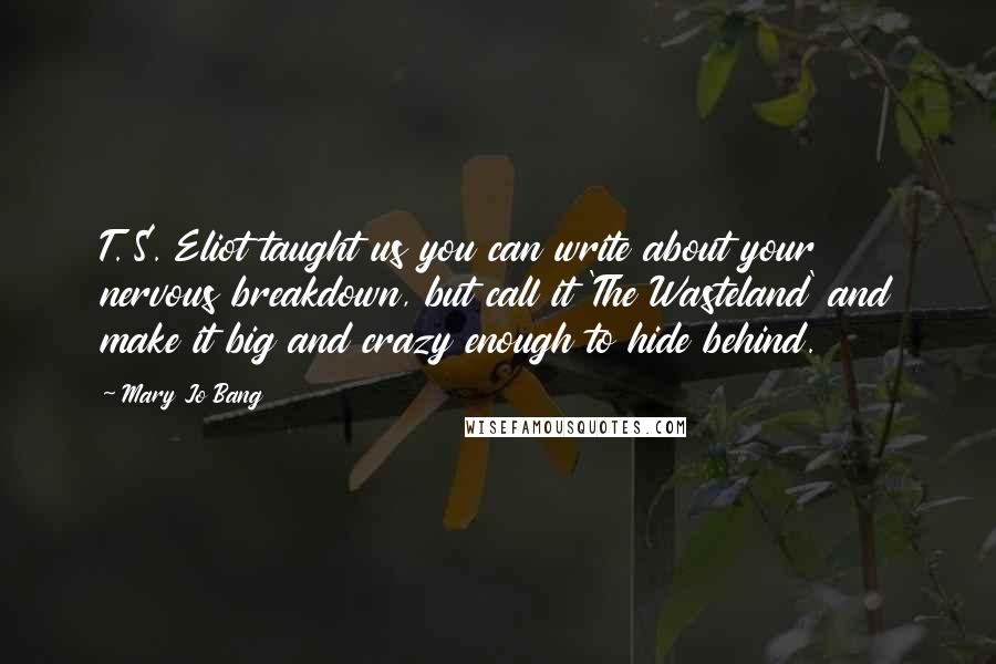 Mary Jo Bang Quotes: T. S. Eliot taught us you can write about your nervous breakdown, but call it 'The Wasteland' and make it big and crazy enough to hide behind.