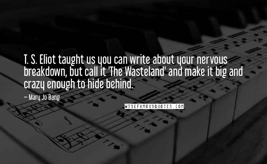 Mary Jo Bang Quotes: T. S. Eliot taught us you can write about your nervous breakdown, but call it 'The Wasteland' and make it big and crazy enough to hide behind.