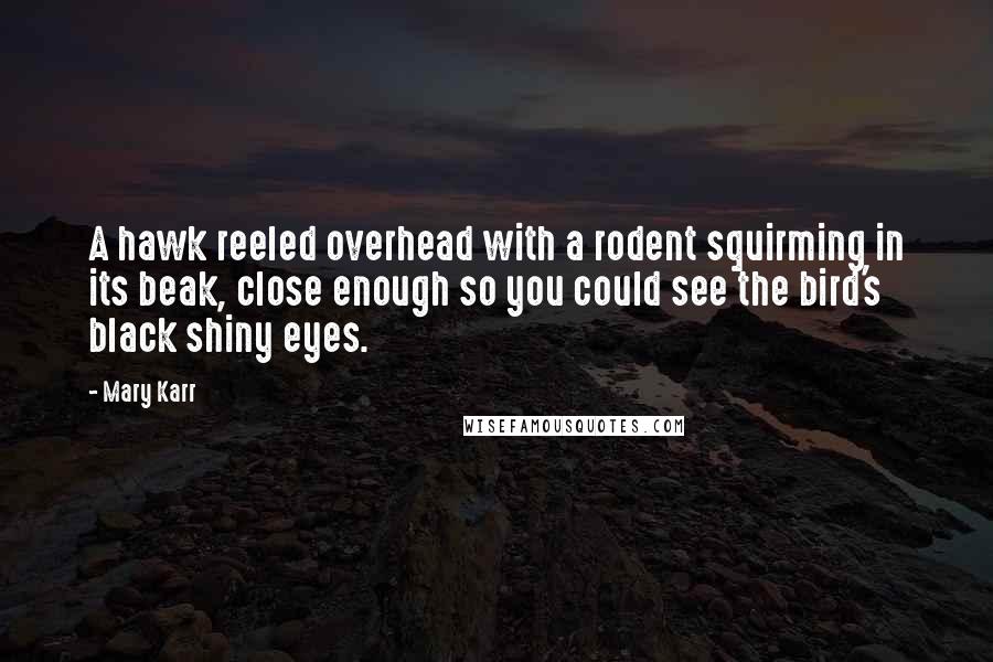 Mary Karr Quotes: A hawk reeled overhead with a rodent squirming in its beak, close enough so you could see the bird's black shiny eyes.