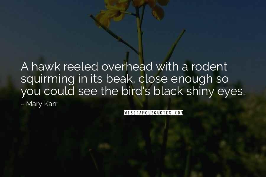 Mary Karr Quotes: A hawk reeled overhead with a rodent squirming in its beak, close enough so you could see the bird's black shiny eyes.