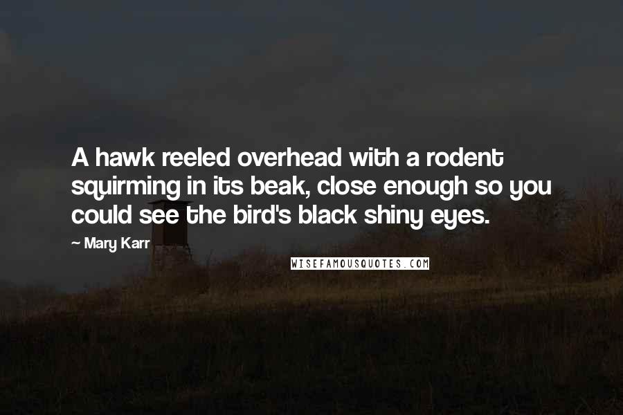 Mary Karr Quotes: A hawk reeled overhead with a rodent squirming in its beak, close enough so you could see the bird's black shiny eyes.