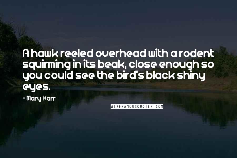 Mary Karr Quotes: A hawk reeled overhead with a rodent squirming in its beak, close enough so you could see the bird's black shiny eyes.