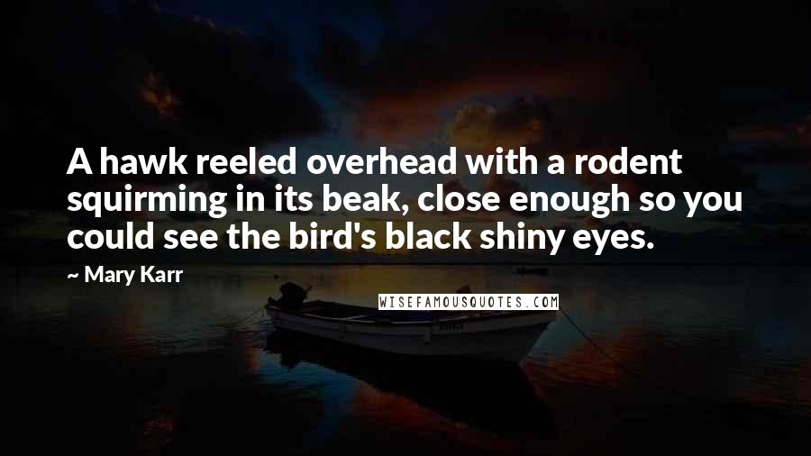 Mary Karr Quotes: A hawk reeled overhead with a rodent squirming in its beak, close enough so you could see the bird's black shiny eyes.