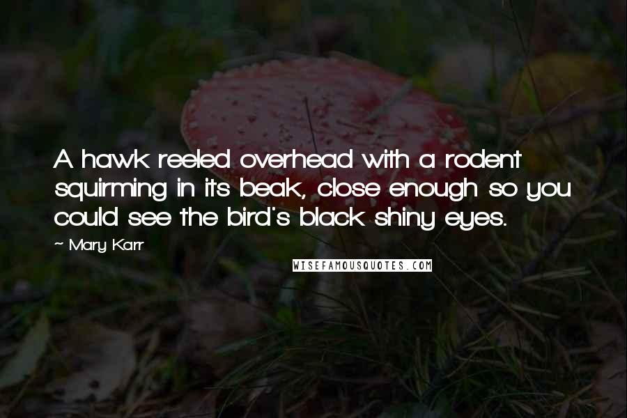 Mary Karr Quotes: A hawk reeled overhead with a rodent squirming in its beak, close enough so you could see the bird's black shiny eyes.