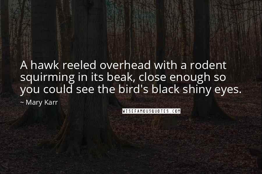 Mary Karr Quotes: A hawk reeled overhead with a rodent squirming in its beak, close enough so you could see the bird's black shiny eyes.