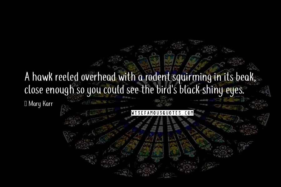 Mary Karr Quotes: A hawk reeled overhead with a rodent squirming in its beak, close enough so you could see the bird's black shiny eyes.