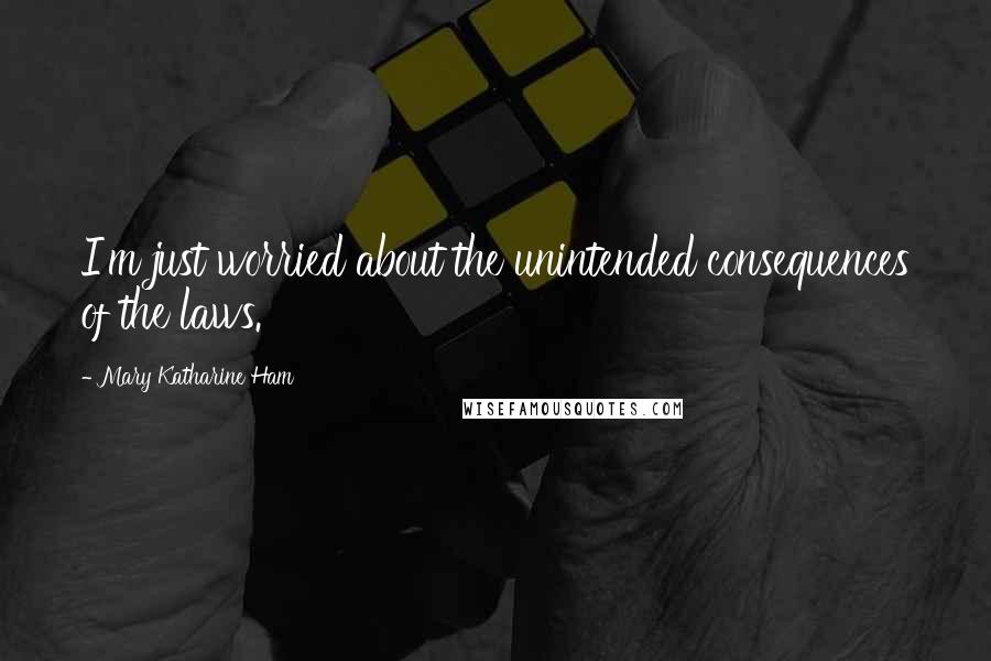 Mary Katharine Ham Quotes: I'm just worried about the unintended consequences of the laws.