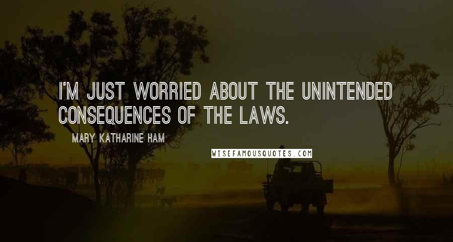 Mary Katharine Ham Quotes: I'm just worried about the unintended consequences of the laws.