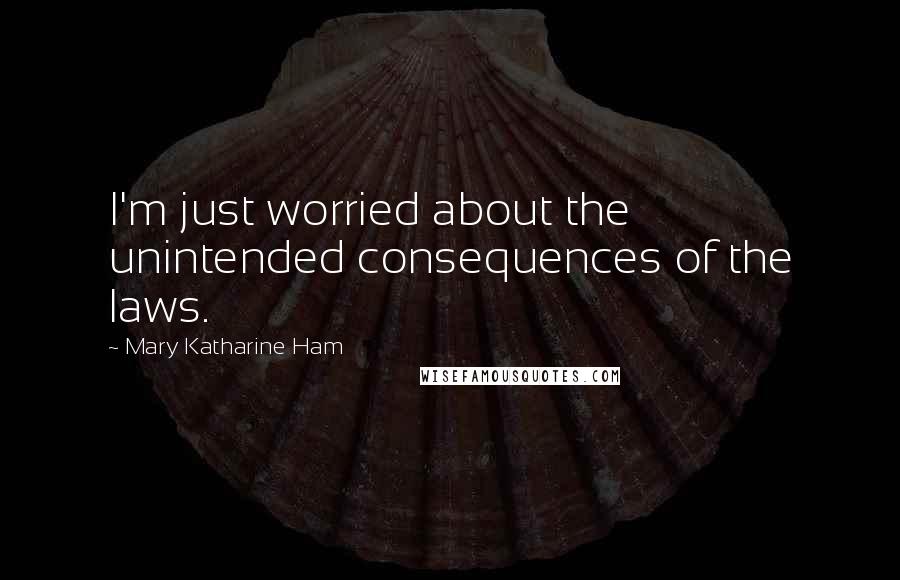 Mary Katharine Ham Quotes: I'm just worried about the unintended consequences of the laws.