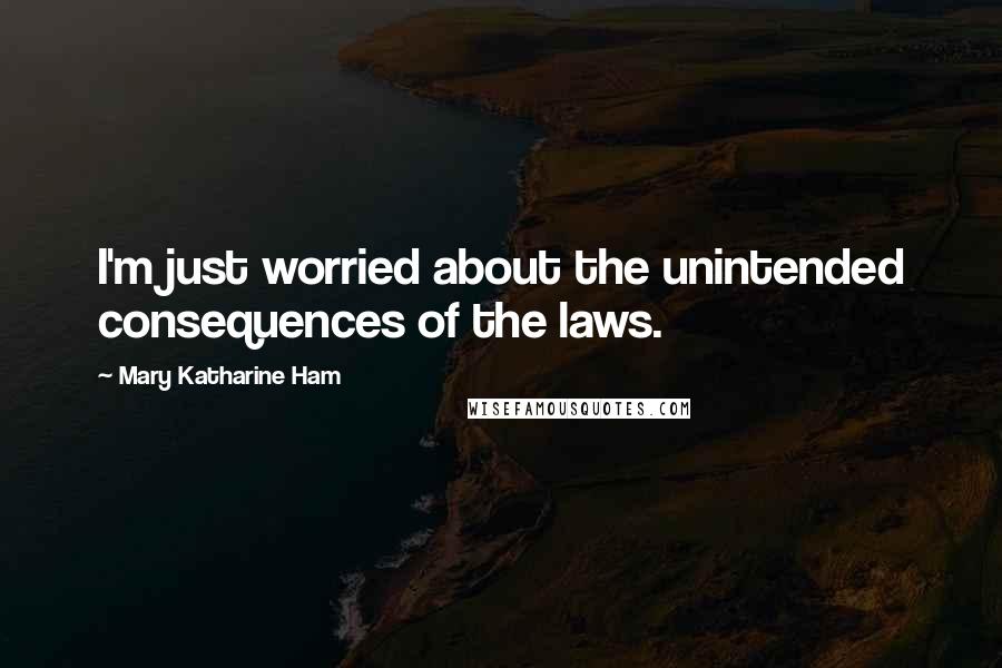 Mary Katharine Ham Quotes: I'm just worried about the unintended consequences of the laws.