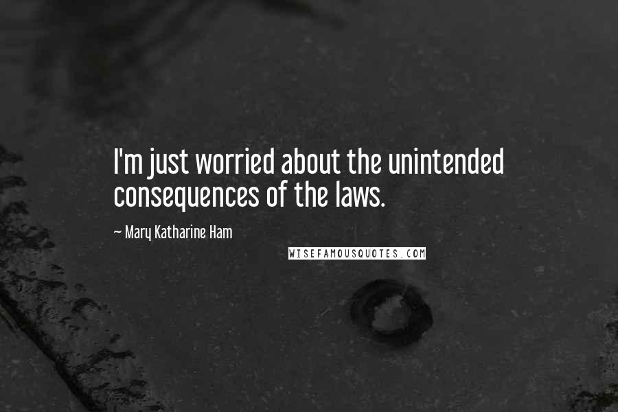 Mary Katharine Ham Quotes: I'm just worried about the unintended consequences of the laws.