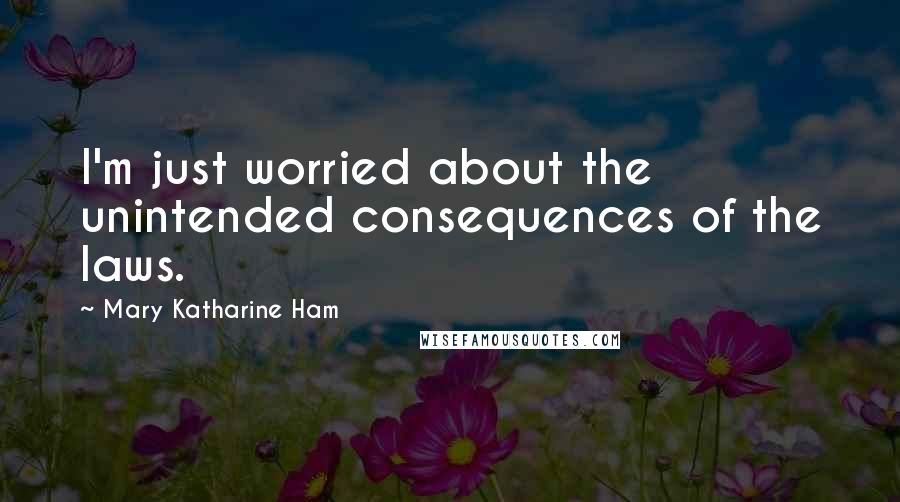 Mary Katharine Ham Quotes: I'm just worried about the unintended consequences of the laws.
