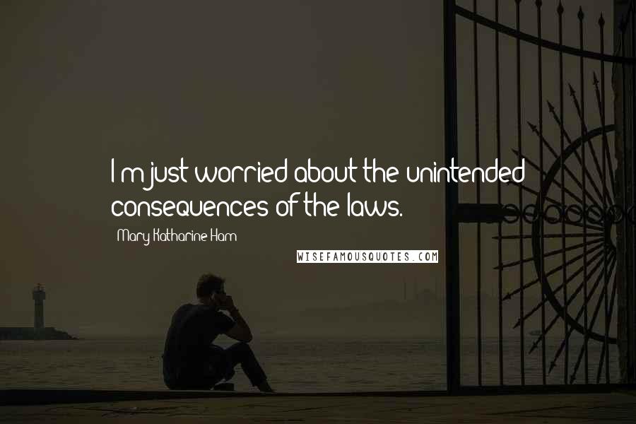 Mary Katharine Ham Quotes: I'm just worried about the unintended consequences of the laws.