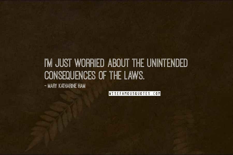 Mary Katharine Ham Quotes: I'm just worried about the unintended consequences of the laws.