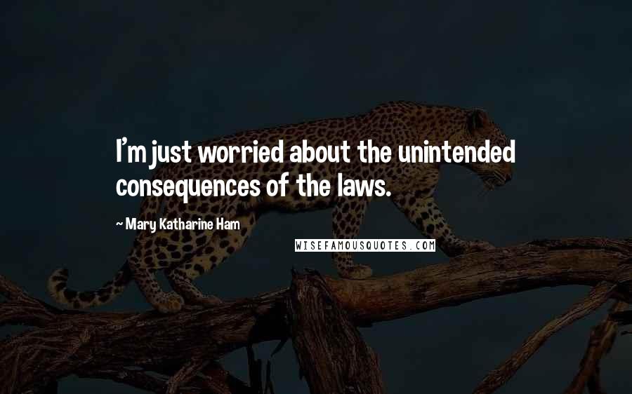 Mary Katharine Ham Quotes: I'm just worried about the unintended consequences of the laws.