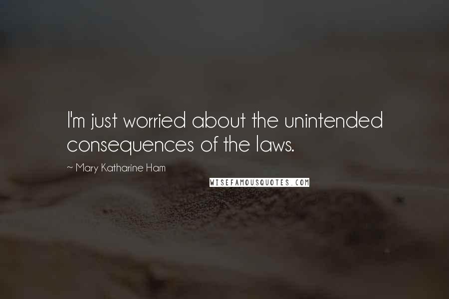 Mary Katharine Ham Quotes: I'm just worried about the unintended consequences of the laws.