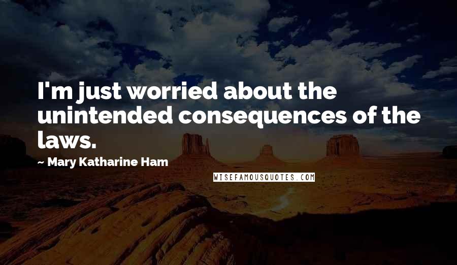 Mary Katharine Ham Quotes: I'm just worried about the unintended consequences of the laws.