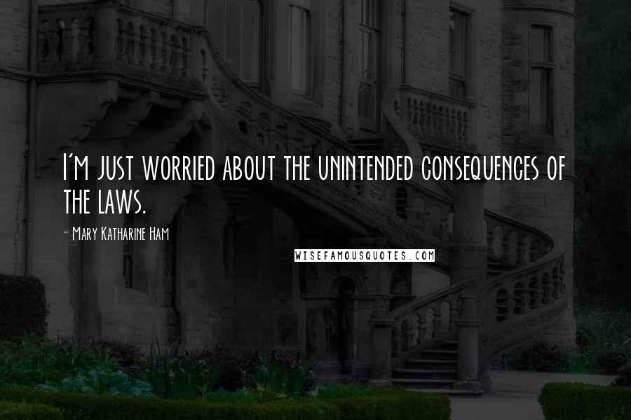 Mary Katharine Ham Quotes: I'm just worried about the unintended consequences of the laws.