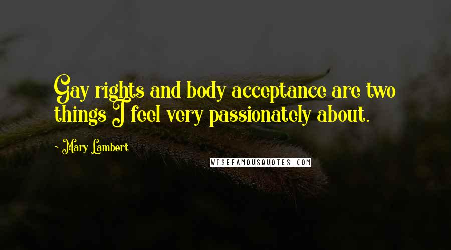 Mary Lambert Quotes: Gay rights and body acceptance are two things I feel very passionately about.