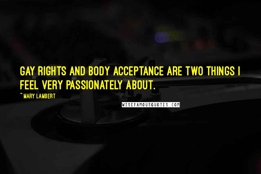Mary Lambert Quotes: Gay rights and body acceptance are two things I feel very passionately about.