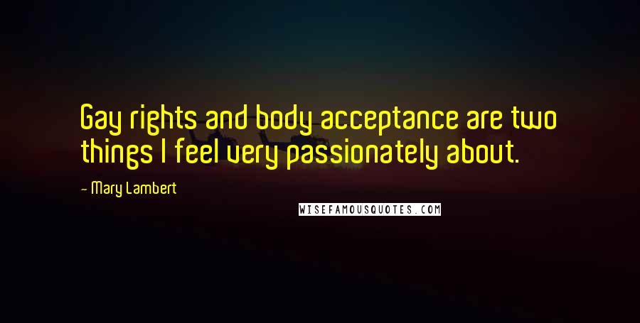 Mary Lambert Quotes: Gay rights and body acceptance are two things I feel very passionately about.