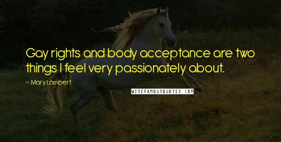 Mary Lambert Quotes: Gay rights and body acceptance are two things I feel very passionately about.