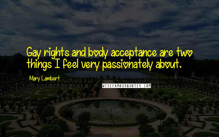 Mary Lambert Quotes: Gay rights and body acceptance are two things I feel very passionately about.