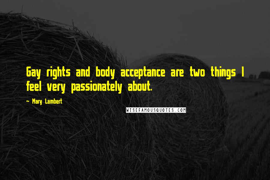 Mary Lambert Quotes: Gay rights and body acceptance are two things I feel very passionately about.