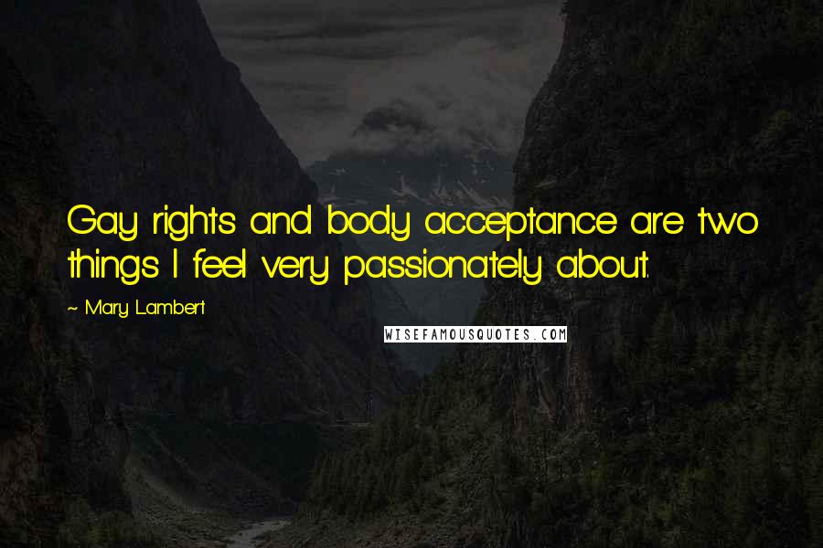 Mary Lambert Quotes: Gay rights and body acceptance are two things I feel very passionately about.