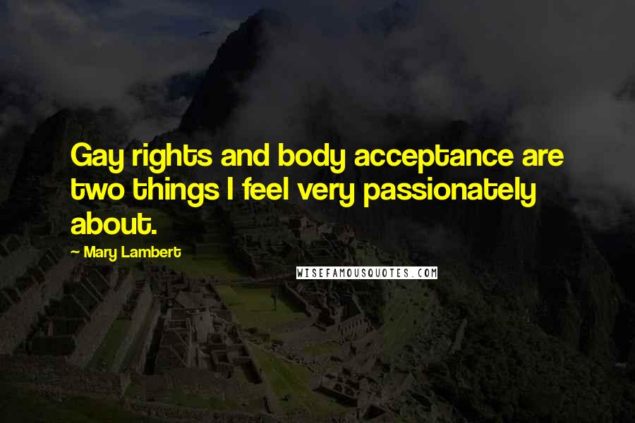 Mary Lambert Quotes: Gay rights and body acceptance are two things I feel very passionately about.