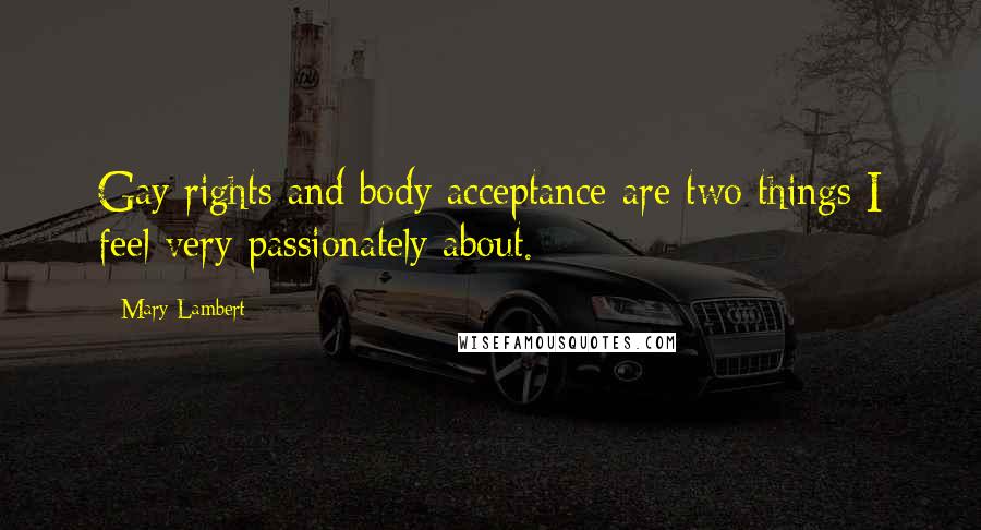 Mary Lambert Quotes: Gay rights and body acceptance are two things I feel very passionately about.