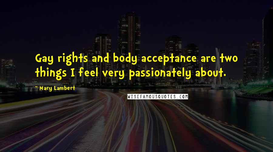 Mary Lambert Quotes: Gay rights and body acceptance are two things I feel very passionately about.