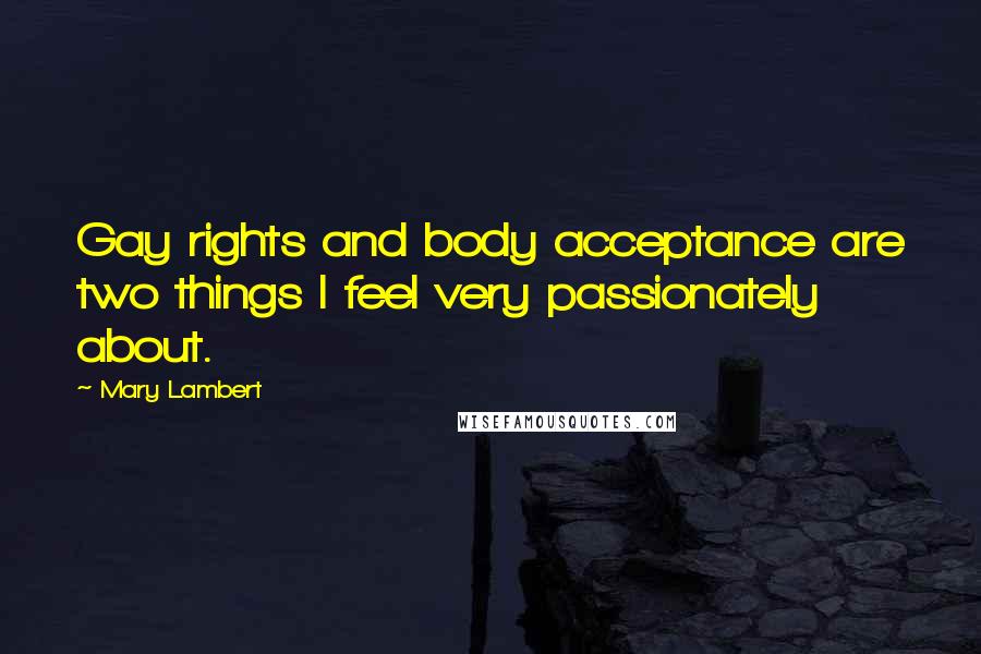 Mary Lambert Quotes: Gay rights and body acceptance are two things I feel very passionately about.