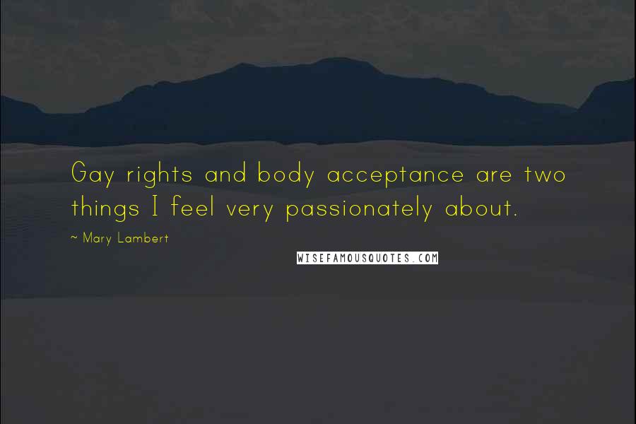 Mary Lambert Quotes: Gay rights and body acceptance are two things I feel very passionately about.