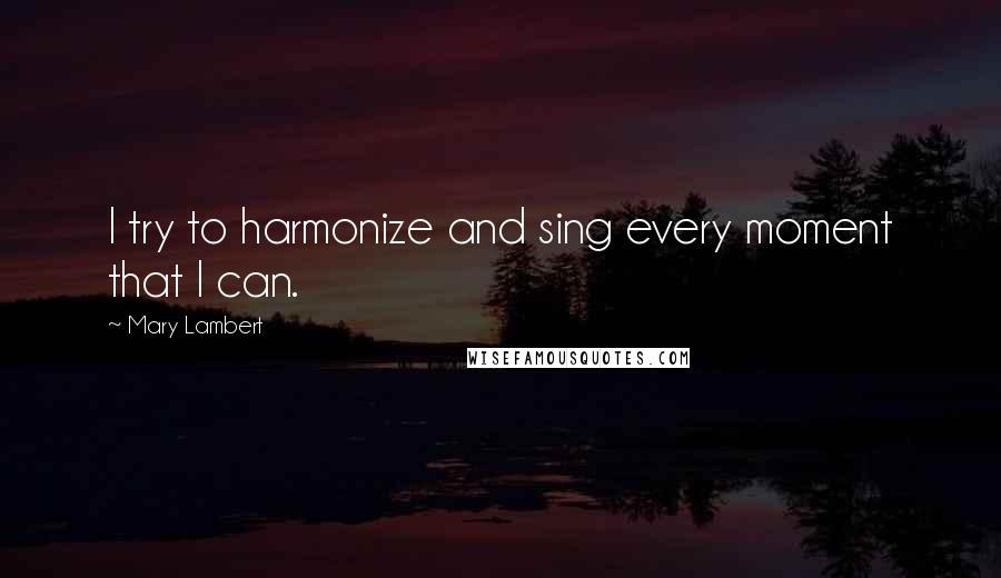 Mary Lambert Quotes: I try to harmonize and sing every moment that I can.