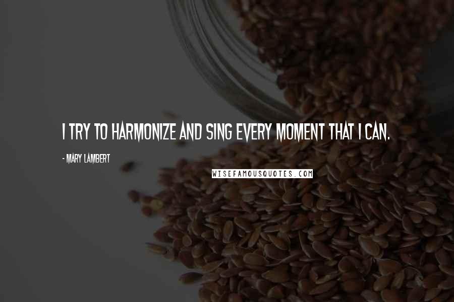 Mary Lambert Quotes: I try to harmonize and sing every moment that I can.