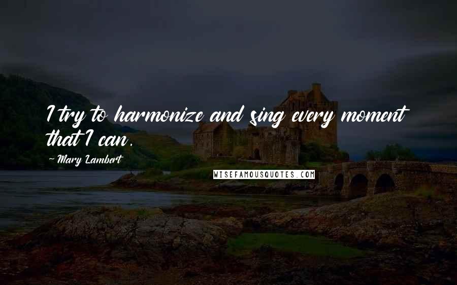 Mary Lambert Quotes: I try to harmonize and sing every moment that I can.