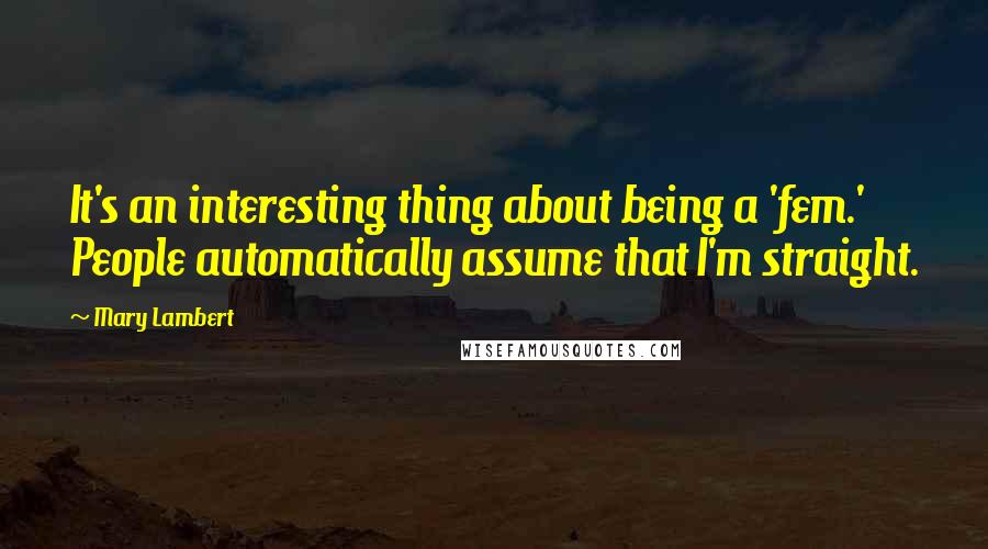 Mary Lambert Quotes: It's an interesting thing about being a 'fem.' People automatically assume that I'm straight.