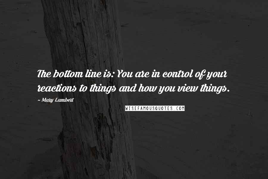 Mary Lambert Quotes: The bottom line is: You are in control of your reactions to things and how you view things.