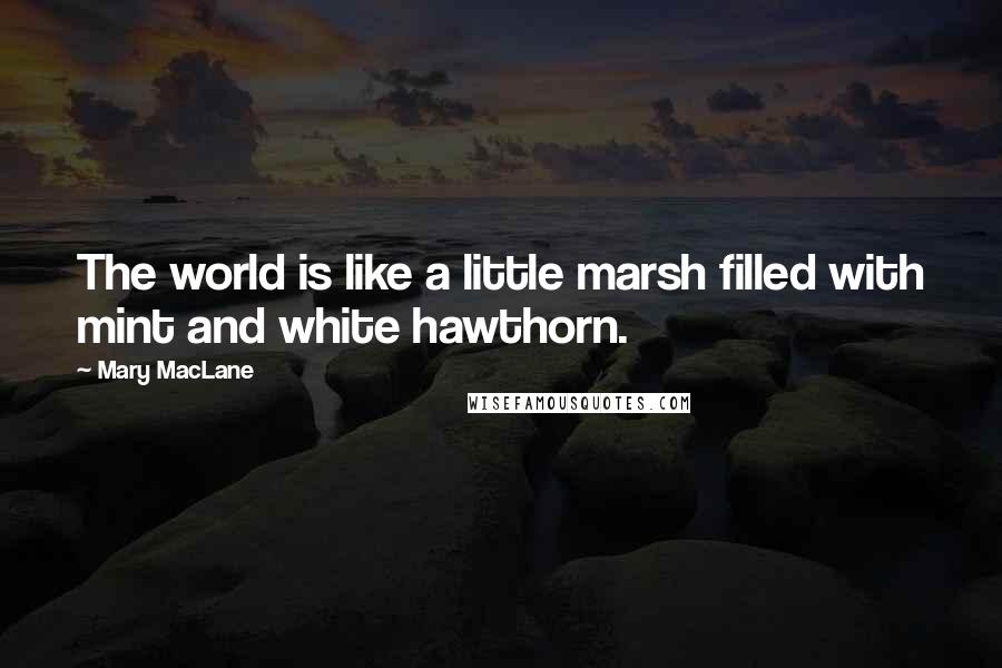 Mary MacLane Quotes: The world is like a little marsh filled with mint and white hawthorn.