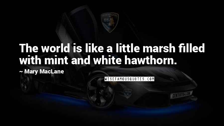 Mary MacLane Quotes: The world is like a little marsh filled with mint and white hawthorn.