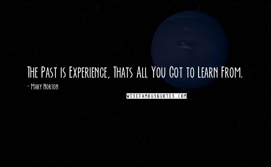 Mary Norton Quotes: The Past is Experience, Thats All You Got to Learn From.