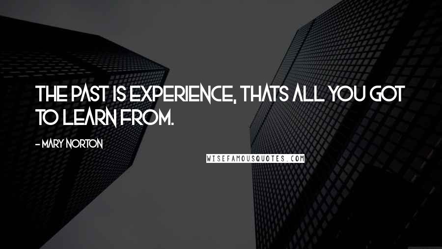 Mary Norton Quotes: The Past is Experience, Thats All You Got to Learn From.