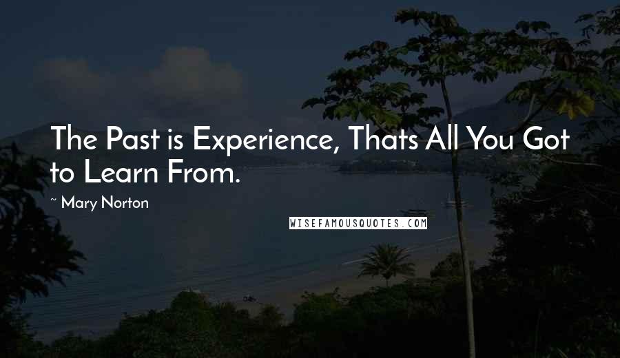 Mary Norton Quotes: The Past is Experience, Thats All You Got to Learn From.