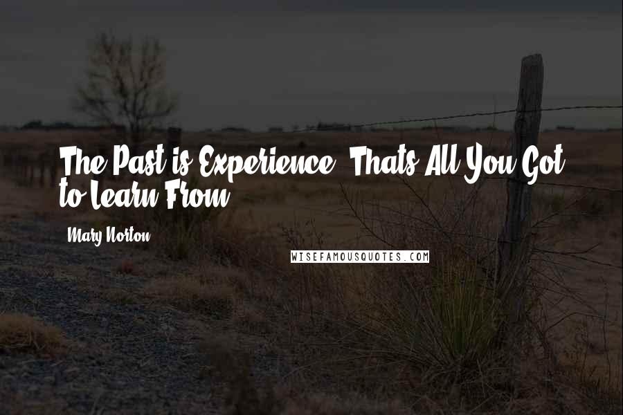 Mary Norton Quotes: The Past is Experience, Thats All You Got to Learn From.