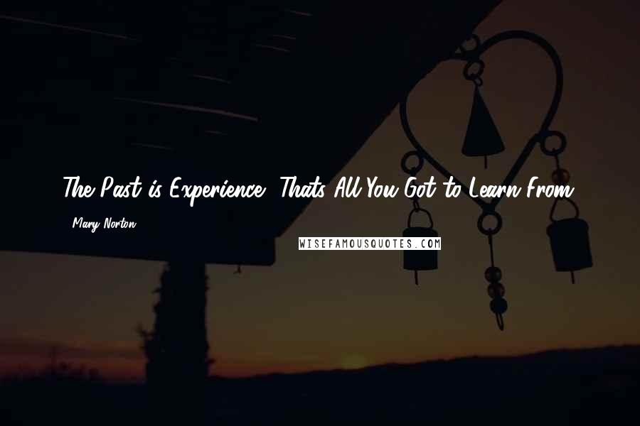 Mary Norton Quotes: The Past is Experience, Thats All You Got to Learn From.