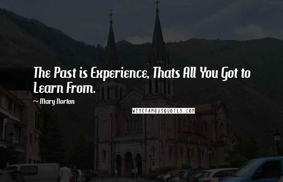 Mary Norton Quotes: The Past is Experience, Thats All You Got to Learn From.